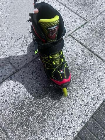 Fila skeelers beschikbaar voor biedingen