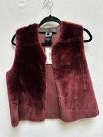 Suite22 gilet vest 36 bordeaux €625 suite 22, Ophalen of Verzenden, Zo goed als nieuw, Maat 36 (S), Rood