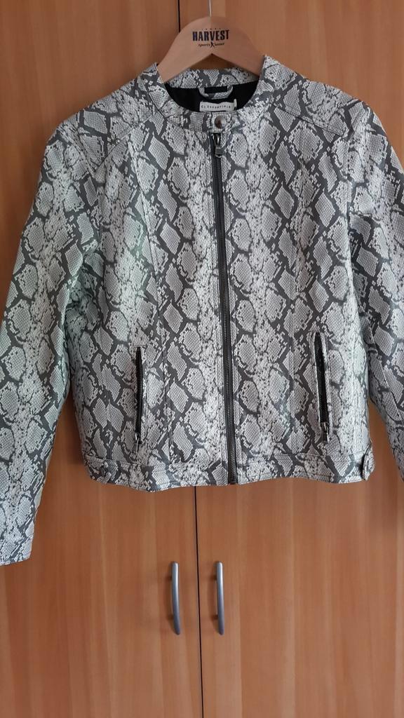 Grijs/wit lederen jasje essentials!!, Kleding | Dames, Jasjes, Kostuums en Pakken, Zo goed als nieuw, Jasje, Maat 38/40 (M), Grijs