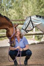 IM-instructie, gediplomeerd paardrij instructrice, Diensten en Vakmensen, Dieren | Paarden | Verzorging, Oppas en Les