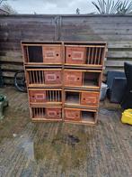 Broedhokken duiven, Dieren en Toebehoren, Vogels | Duiven, Meerdere dieren, Postduif