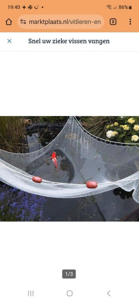 Snel uw zieke Koi vangen, Tuin en Terras, Vijvers, Nieuw, Ophalen of Verzenden