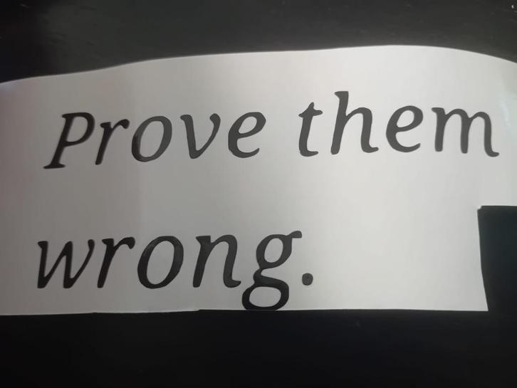 Prove them wrong vinyl sticker, Auto diversen, Autostickers, Verzenden