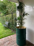 Grote voorraad 200L olievat vuurkorf brandton blik vat drum, Tuin en Terras, Bloembakken en Plantenbakken, Ophalen, Tuin, Rond