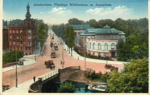 (304-230-011) Amsterdam Plantage Middenlaan m. Aquarium, Verzamelen, Ansichtkaarten | Nederland, Noord-Holland, Verzenden