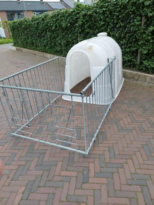 14 kalveriglo's, kalveriglo, kalverhok, kalverhut, schuilhok, Dieren en Toebehoren, Stalling en Weidegang