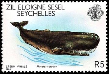 BUITEN SEYCHELLEN 5 - Dieren: zoogdieren (potvis) beschikbaar voor biedingen