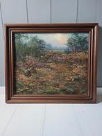 Albert Wessels Landschap Schilderij 50 x 60, Antiek en Kunst, Kunst | Schilderijen | Klassiek, Ophalen