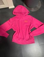 Amy & Ivy Roze Hoodie XS, Ophalen of Verzenden, Nieuw, Maat 34 (XS) of kleiner, Roze