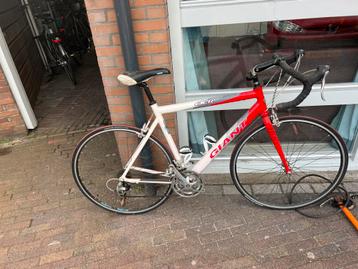 Giant OCR compact race 55,5 cm framemaat beschikbaar voor biedingen