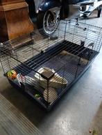 Cavia kooi, Kooi, Zo goed als nieuw, 75 tot 110 cm, Cavia