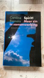 C. Biemans - Spirit! Meer zin in samenwerking, Ophalen of Verzenden, Nieuw, C. Biemans