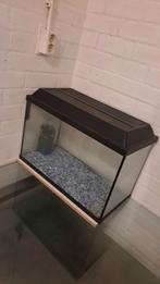 Aquarium, Dieren en Toebehoren
