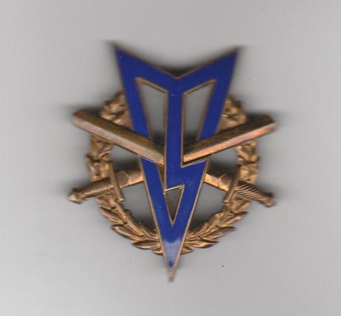 Koninklijke Landmacht LMV Embleem (2), Verzamelen, Militaria | Algemeen, Landmacht, Embleem of Badge, Nederland, Ophalen of Verzenden