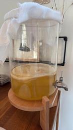 Scoby voor het maken van kombucha, Diversen, Ophalen