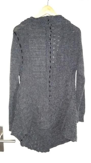 Mooi warm positie vest grijs beschikbaar voor biedingen