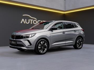 Opel Grandland 1.2 Turbo Elegance | CAMERA | WINTERPAKKET  beschikbaar voor biedingen