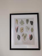 IKEA Lijstjes met Print - Zo Goed Als Nieuw!, Minder dan 50 cm, Ophalen of Verzenden, Minder dan 50 cm, Print