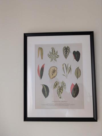 IKEA Lijstjes met Print - Zo Goed Als Nieuw! beschikbaar voor biedingen