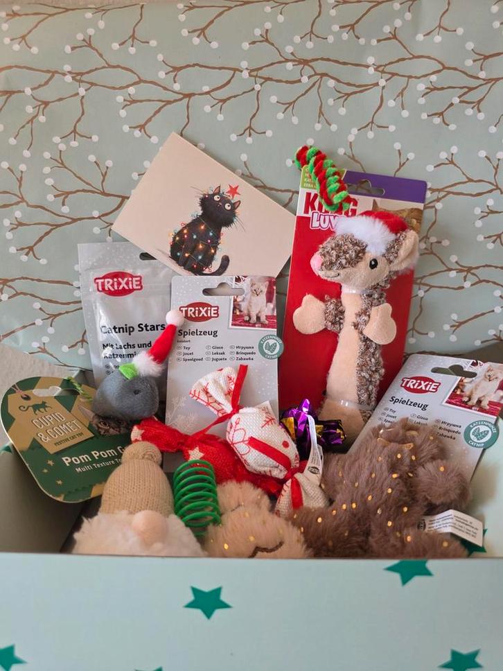 Kerstpakket Giftbox Speelgoed Snacks kat NIEUW, Dieren en Toebehoren, Kattenspeelgoed, Nieuw, Overig speelgoed, Ophalen of Verzenden