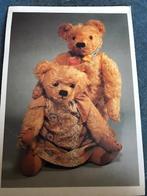 Beertjes kaarten, Kinderen en Baby's, Ophalen of Verzenden, Nieuw