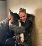Lease paard gezocht, Dieren en Toebehoren, Paarden en Pony's | Overige Paardenspullen, Ophalen of Verzenden, Nieuw, Dressuur