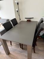 Eettafel met stoelen, Huis en Inrichting, Tafels | Eettafels, Ophalen, Gebruikt, 50 tot 100 cm, Vijf personen of meer