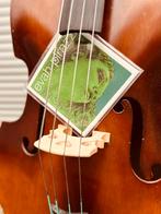 1949 American Standard Contrabas 7/8, Ophalen, Zo goed als nieuw, 7/8-contrabas