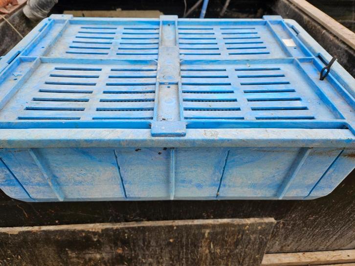 Koi basket. Superbeadfilter. Tricklefilters Plantenfilters, Dieren en Toebehoren, Vissen | Vijvervissen, Karper of Koi