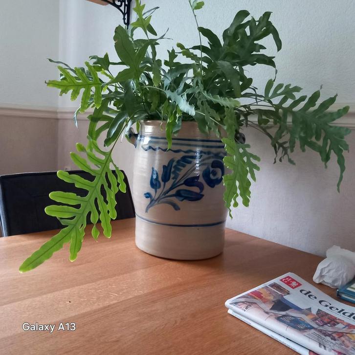 Grote keulsepot., Huis en Inrichting, Woonaccessoires | Vazen, Zo goed als nieuw, Overige kleuren, Minder dan 50 cm, Aardewerk of Porselein