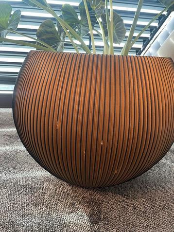 Stijlvolle ronde plantenpot beschikbaar voor biedingen