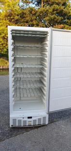 Grote vrieskast vriezer diepvrieskast Bezorging mogelijk, Witgoed en Apparatuur, Vriezers en Diepvrieskisten, Ophalen of Verzenden