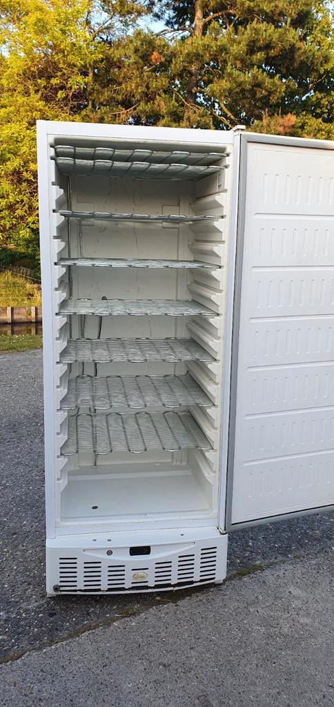Grote vrieskast vriezer diepvrieskast Bezorging mogelijk, Witgoed en Apparatuur, Vriezers en Diepvrieskisten, Vrieskast, Ophalen of Verzenden