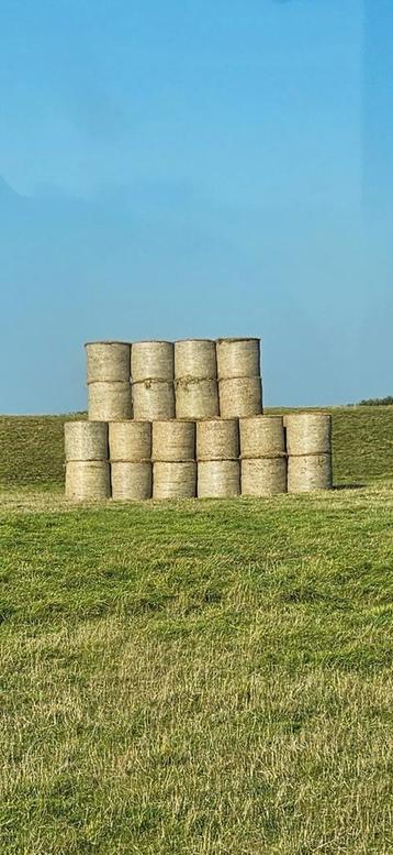 Hooi/strooisel vervanger voor stro beschikbaar voor biedingen