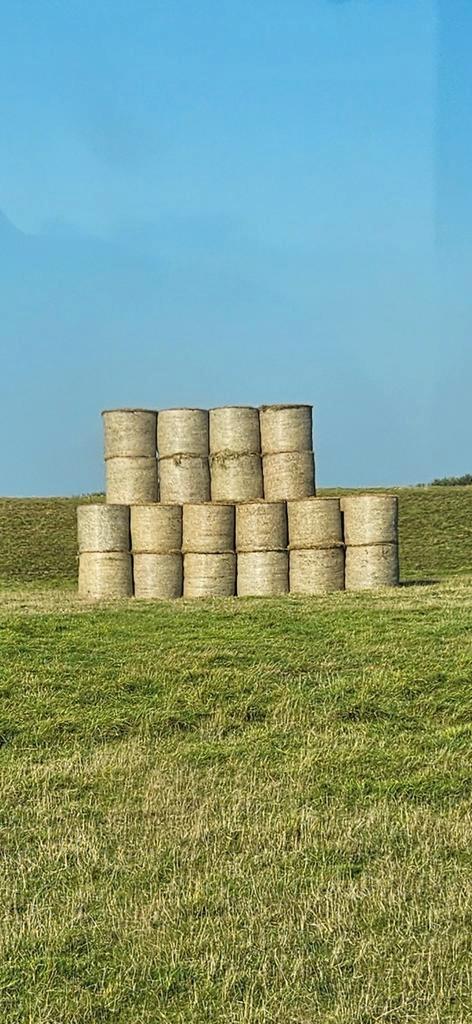 Hooi/strooisel vervanger voor stro, Dieren en Toebehoren, Dierenvoeding, Vee, Ophalen of Verzenden