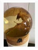 XL glas bol, met echte opgezette vleermuis 15 x 15 cm, Verzamelen, Dierenverzamelingen, Ophalen, Nieuw, Overige soorten, Opgezet dier