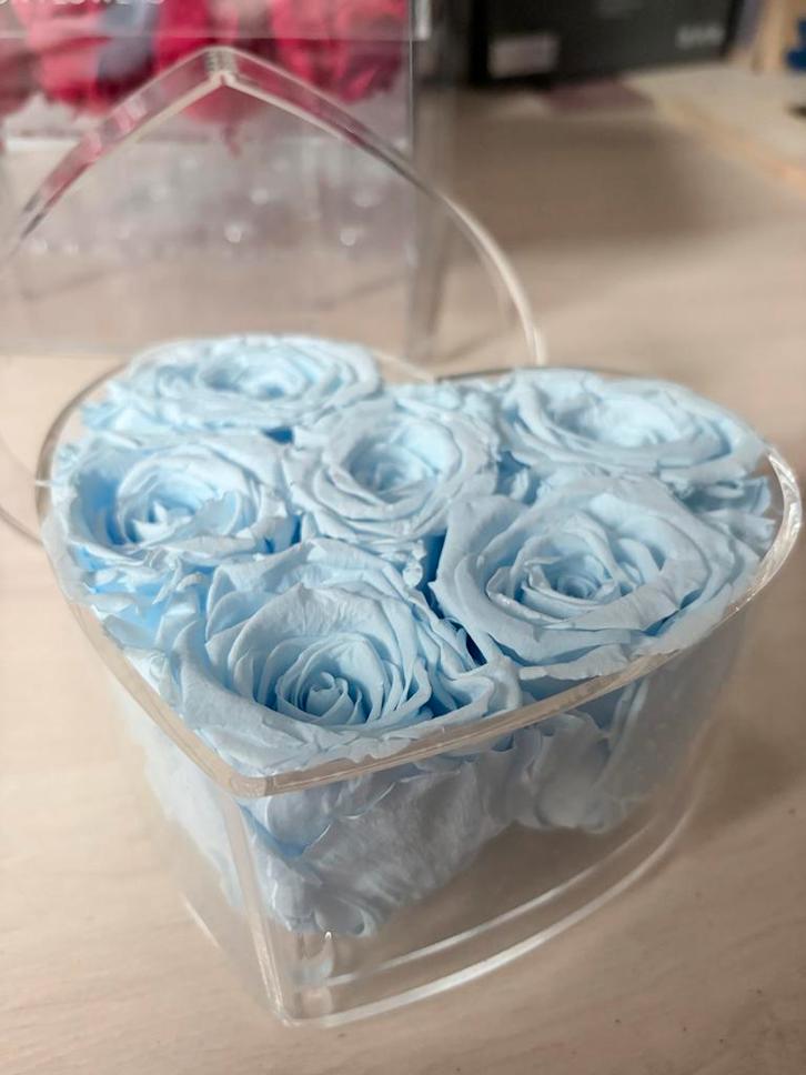 Longlife Rozenbox - Eeuwige Rozen, Huis en Inrichting, Woonaccessoires | Droogbloemen, Nieuw, Ophalen of Verzenden