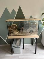 Hamsterscaping, terrarium voor hamster, Kooi, Minder dan 60 cm, Ophalen of Verzenden, 75 tot 110 cm