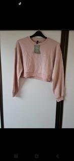 H&M Trui Maat M, H&M, Ophalen of Verzenden, Nieuw, Maat 38/40 (M)