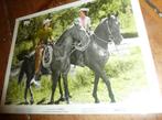 35mm film moviestill COLOR Sierra - Wana Hendrix - 1950, Verzenden, 35mm film