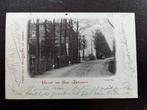 Groet uit Elst - Oude Tol, Verzenden, Voor 1920, Gelopen, Gelderland