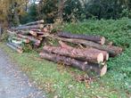 Stammen te koop voor brandhout, Tuin en Terras, Haardhout, Minder dan 3 m³, Ophalen