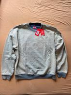 Diesel Sweater - Grijs/Lichtblauw - Maat L, Kleding | Heren, Truien en Vesten, Maat 52/54 (L), Diesel, Nieuw, Ophalen of Verzenden