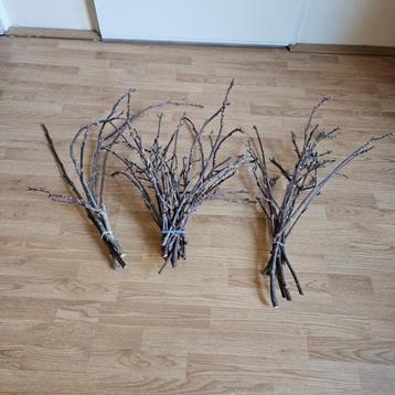 ZGAN gedroogde walnoottakken (3 x) beschikbaar voor biedingen