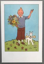 Kuifje, Tin Tin kaart, Ophalen of Verzenden, Ongelopen
