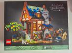LEGO Ideas Middeleeuwse Smidse - Nieuw in doos!, Kinderen en Baby's, Speelgoed | Duplo en Lego, Ophalen of Verzenden, Nieuw, Complete set