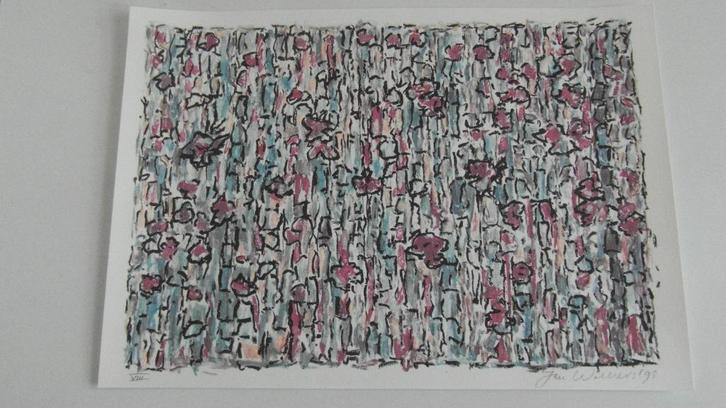 JAN WOLKERS Van € 225,00 voor slechts € 200, Antiek en Kunst, Kunst | Litho's en Zeefdrukken, Ophalen of Verzenden