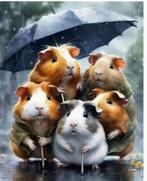 schilderen op nummer  Canvas  Cavia`s 40 bij 50 cm, Hobby en Vrije tijd, Verzenden, Nieuw, Schilderen op nummer