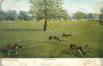 (301-107-027) Den Haag Hertenkamp beschikbaar voor biedingen
