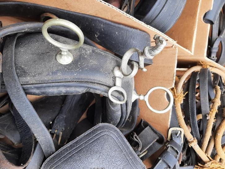 Tuigage voor het Friese Paard, Dieren en Toebehoren, Overige Dieren-accessoires, Gebruikt, Ophalen